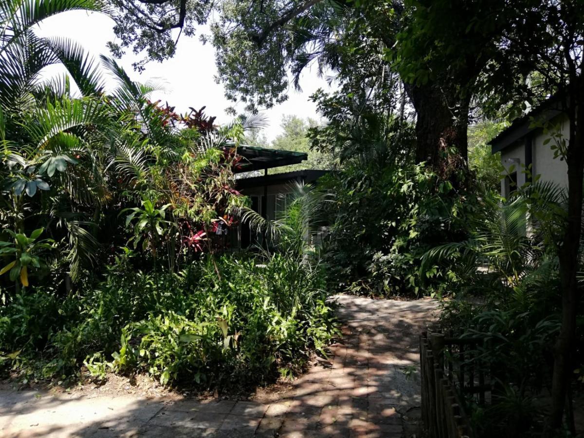 Elephant Walk Guesthouse And Back Packers ファラボルワ エクステリア 写真